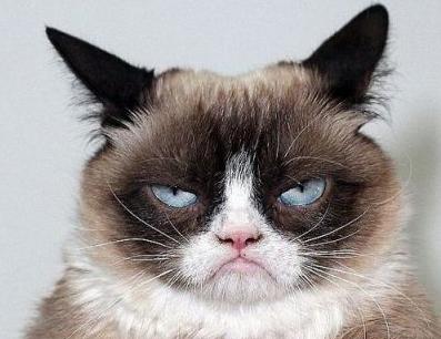 咖啡制造商侵犯不爽貓商標(biāo)權(quán) 咖啡制造商侵犯不爽貓商標(biāo)權(quán)